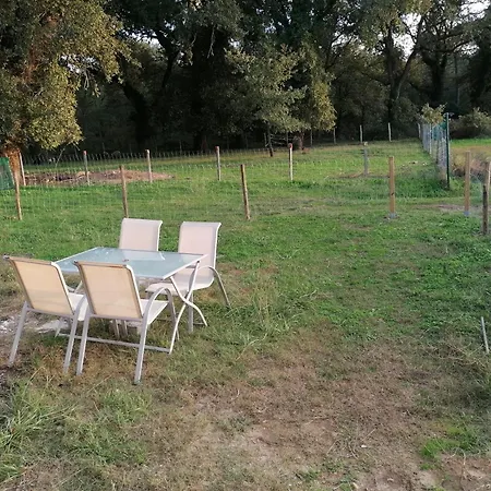 別荘 Avec Vue Foret - Piscine Partagee Cachen