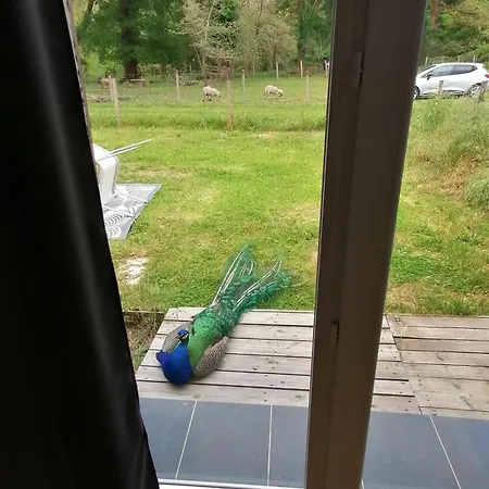 Avec Vue Foret - Piscine Partagee Ferienhaus