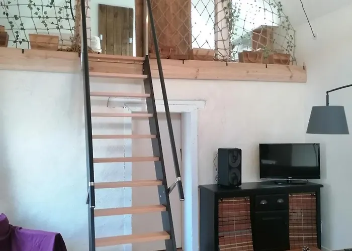 Avec Vue Foret - Piscine Partagee