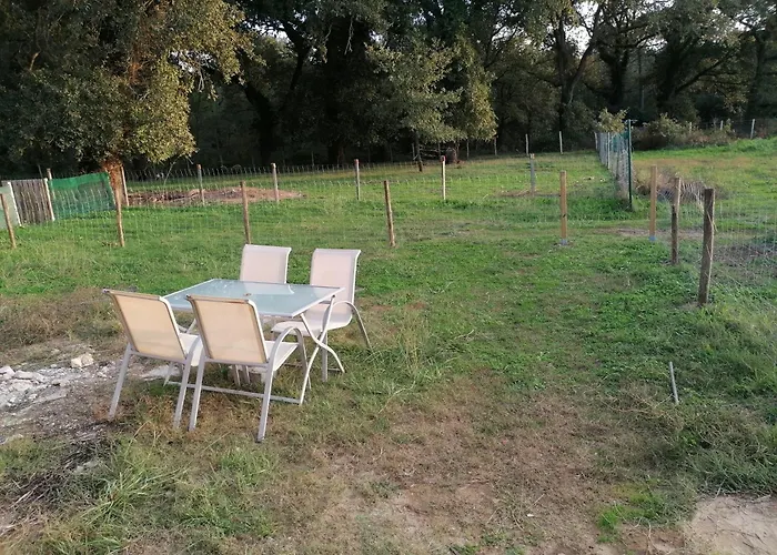 펜션 Avec Vue Foret - Piscine Partagee Cachen