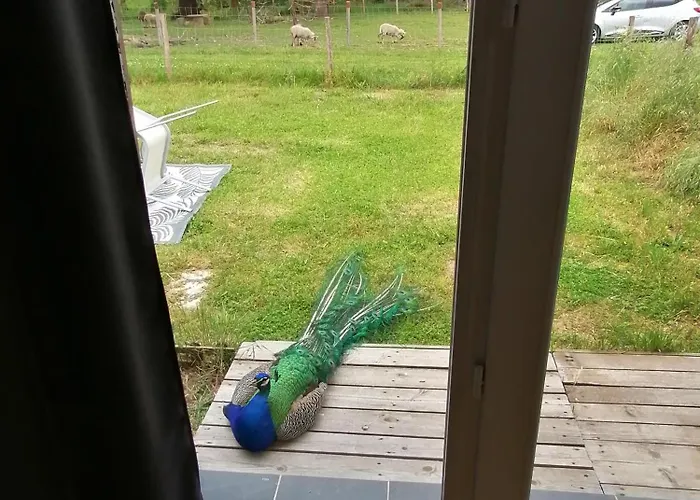 Avec Vue Foret - Piscine Partagee 펜션